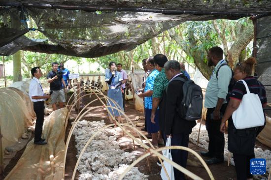 11月19日,在斐济楠迪中国—太平洋岛国菌草技术示范中心,与会代表参观菌草菇种植示范基地。新华社发(高鑫摄)